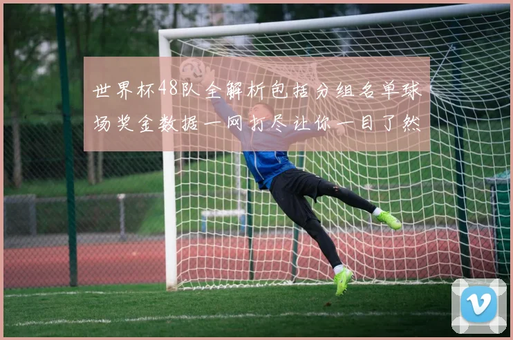 世界杯48队全解析包括分组名单球场奖金数据一网打尽让你一目了然